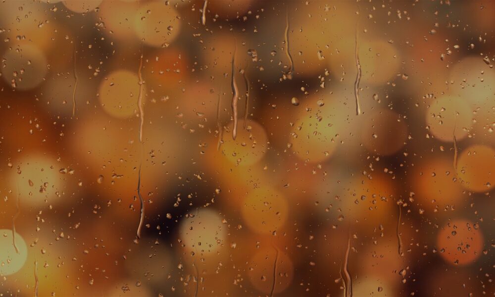 Is this a roadblock to Polkadot’s recovery in the months ahead