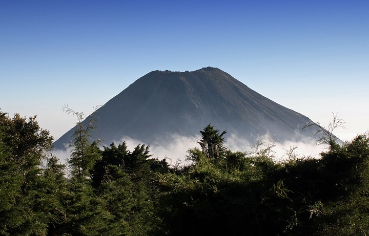 What Is El Zonte Capital? Could Keiser, Herbert, And Klippsten Shake The Market?