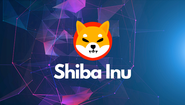 230 Million SHIB Token Burned ; Is This Bullish For The Memecoin?