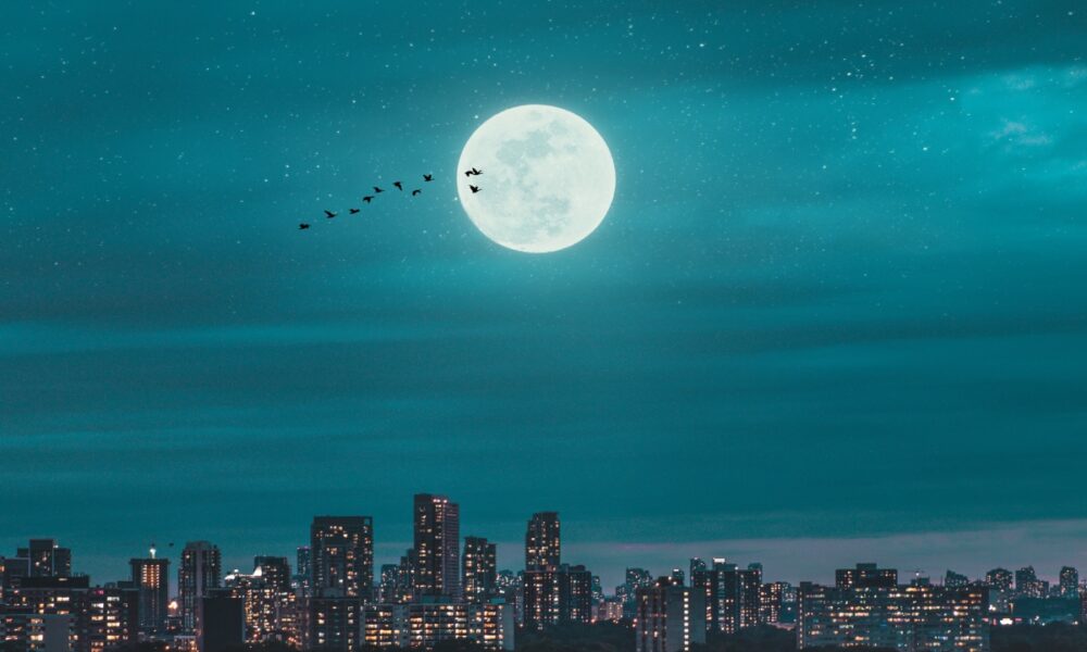 Amid LUNA’s trip to the moon and Terra’s exploding TVL, watch out for this