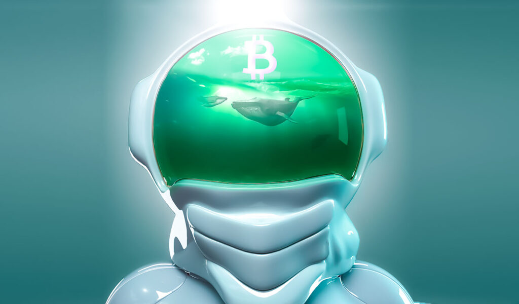 Confident Crypto Whales Behind Bitcoin (BTC) Explosion, According to Analyst Nicholas Merten