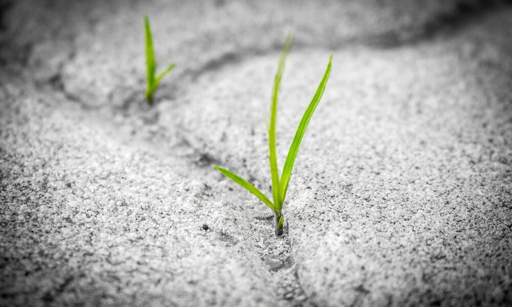 What’s in store for BAT holders- Resistance zone or sell-pressure