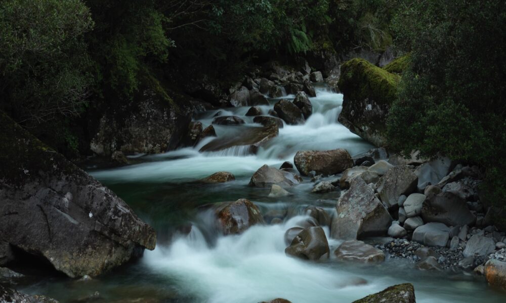 After MENA and APAC, this is the region Ripple could be looking at next