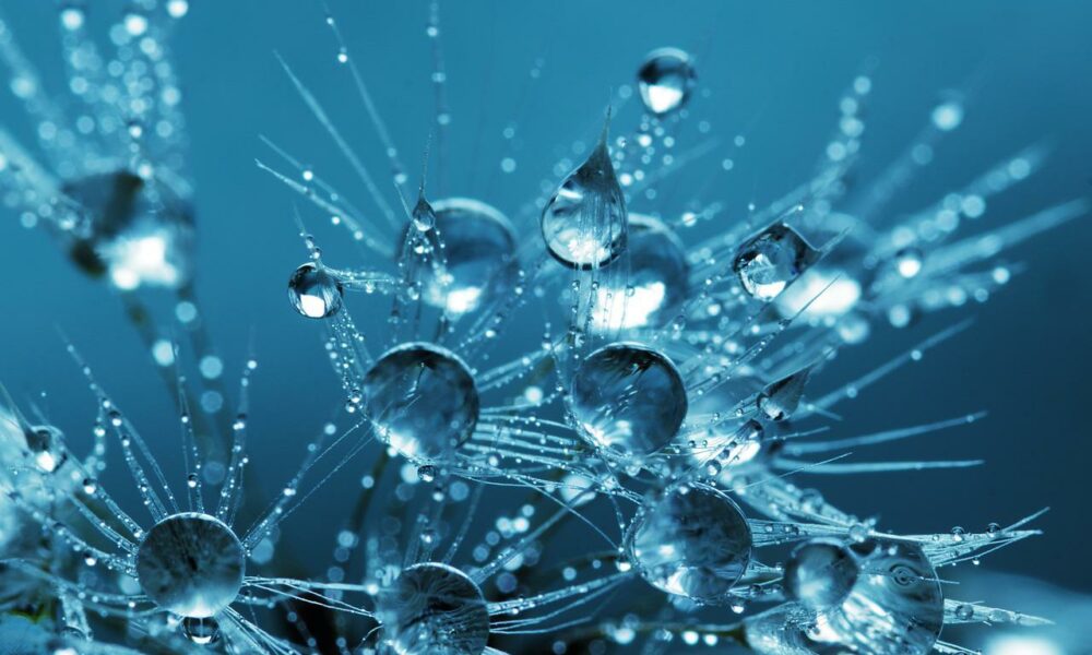 Bitcoin Cash, EOS, Curve Finance Price Analysis: 06 May