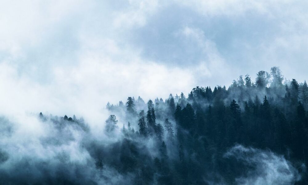 Is it ‘AAVE’ test for investors as monthly new accounts shrink to toy dog size