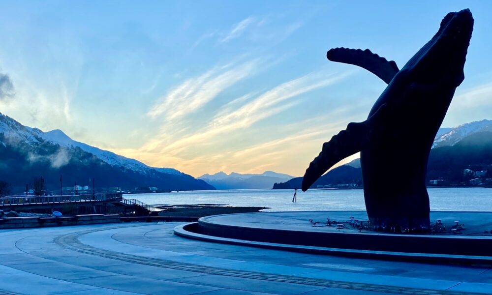 XRP whales look for their final destination as traders go haywire