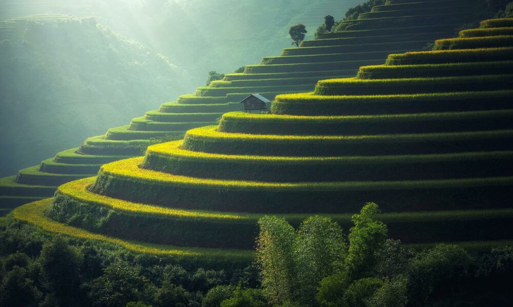 With MATIC breaking out of a trendline resistance, here’s where it can head next