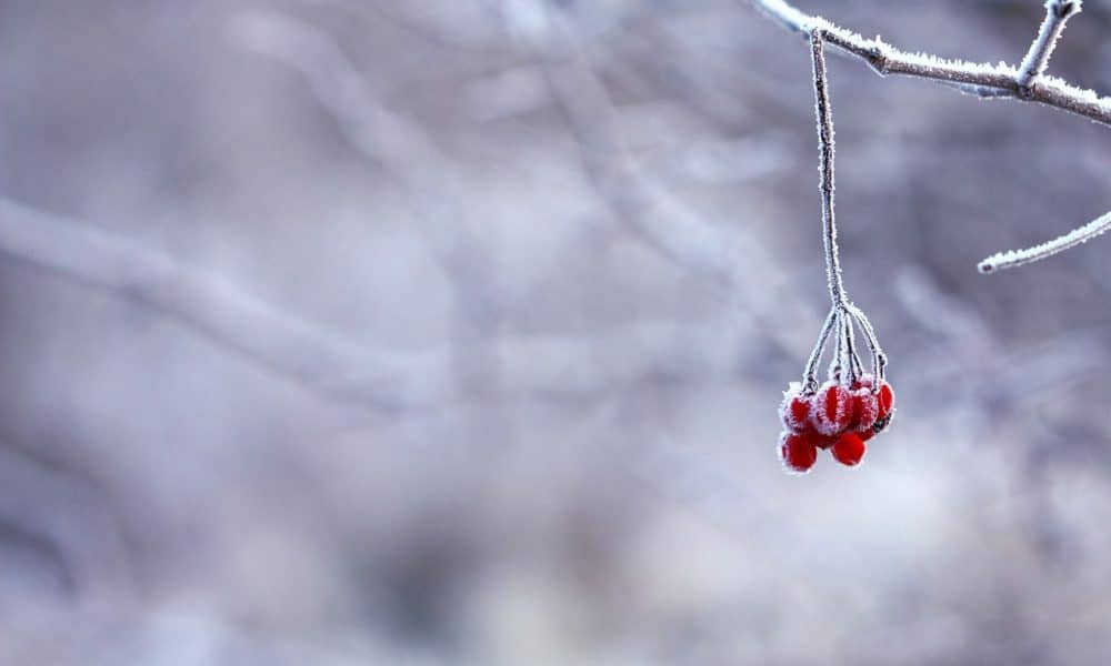 Avalanche: This area could pose substantial near-term resistance