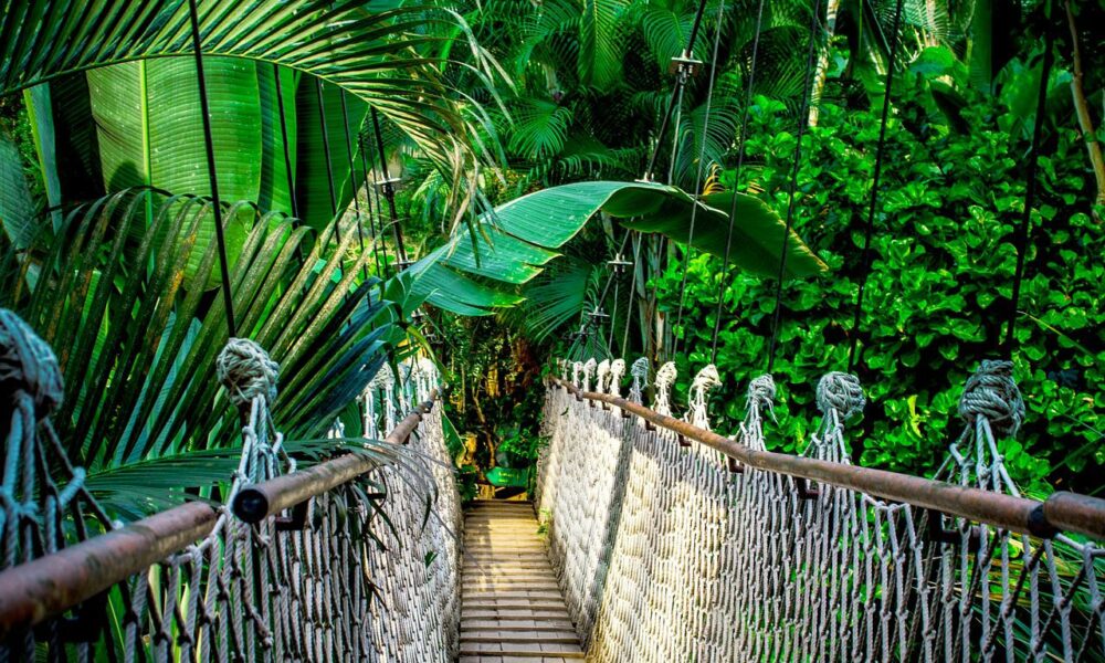 Axie Infinity: Risk would be to buy range lows with a stop-loss at…