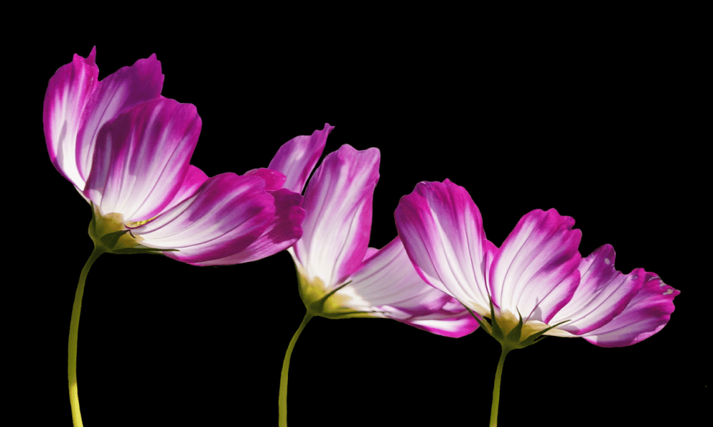 The story of AAVE V3 and its mild success you don’t know about