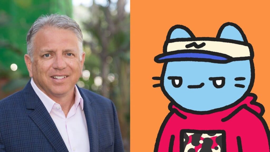 Stephen Teglas Joins the Team! image of Cool Cats NFT and CEO Stephen Teglas