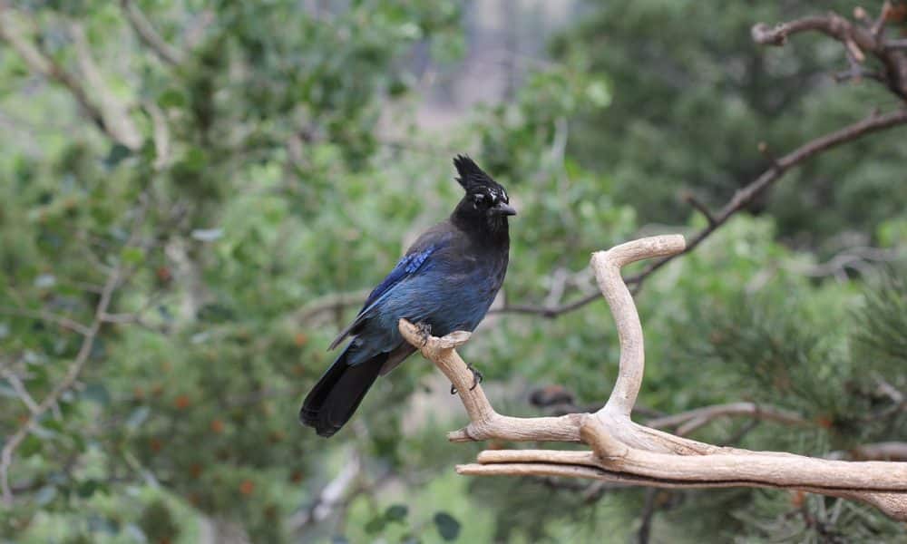 Cosmos collects liquidity and prepares for a move up, but only if ATOM…