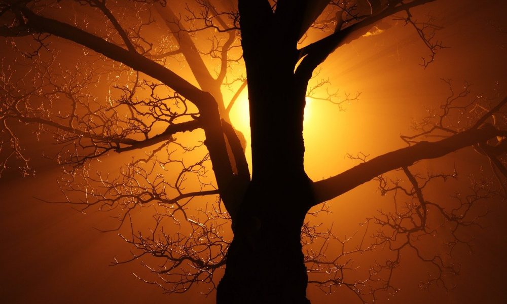 MATIC: Not Coinbase, but this ‘effect’ might come into play soon