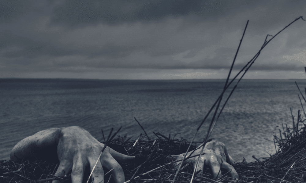 Did the Celsius liquidity plea trigger CEL’s 34% freefall?