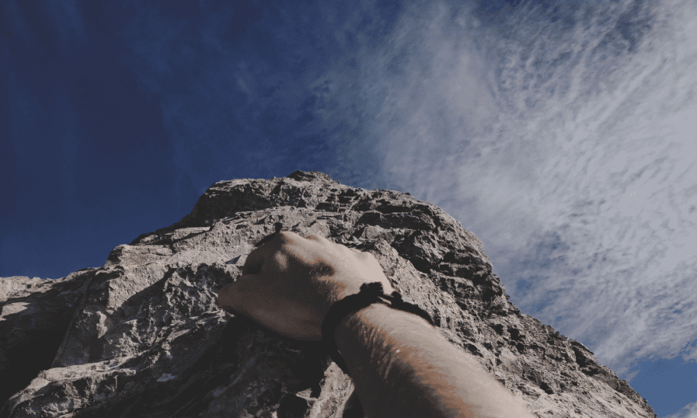 Algorand investors may need to lower expectations despite ALGO’s 4x surge